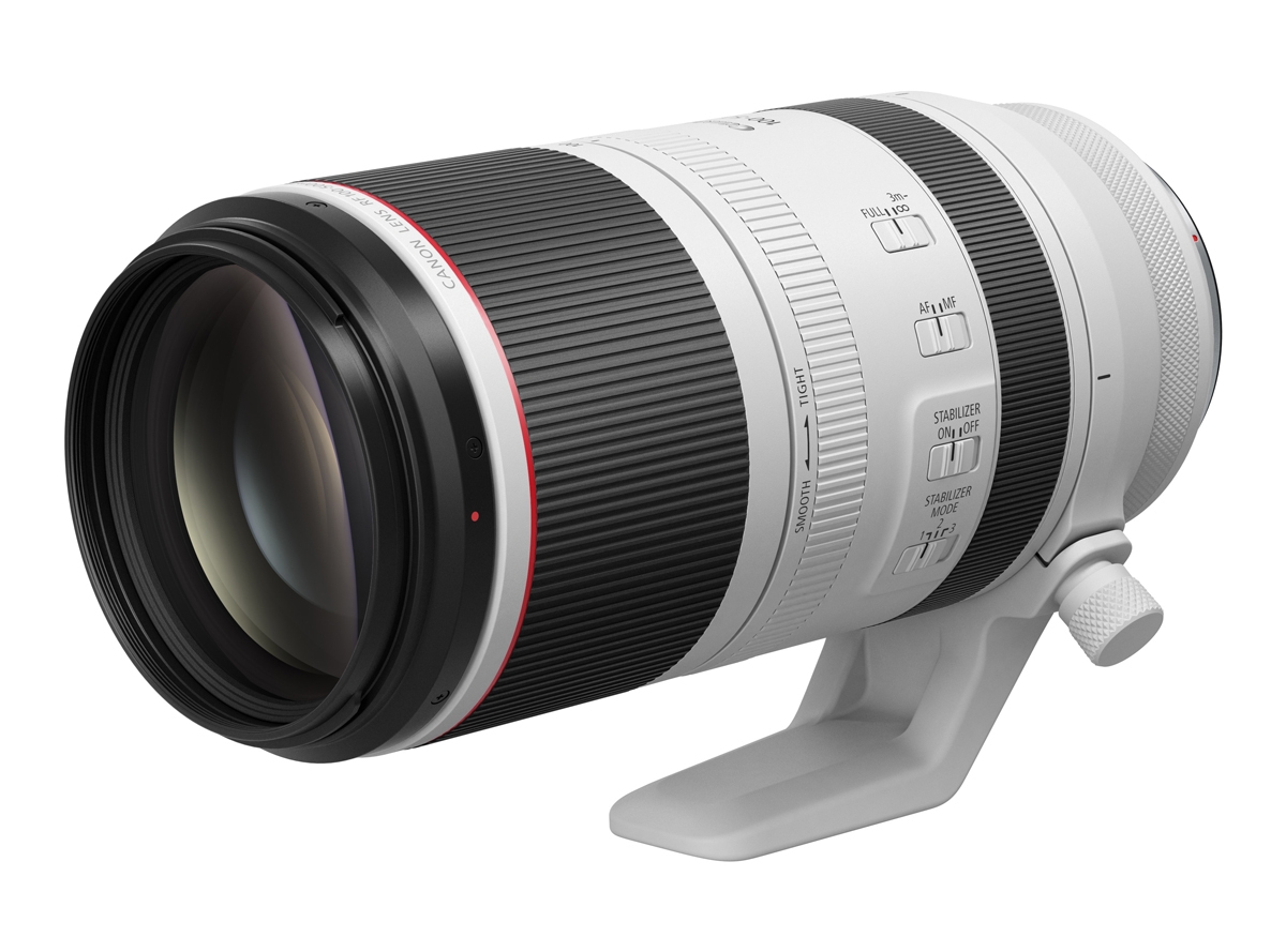 Canon RF 200-800mm f/6.3-9.0 IS USM