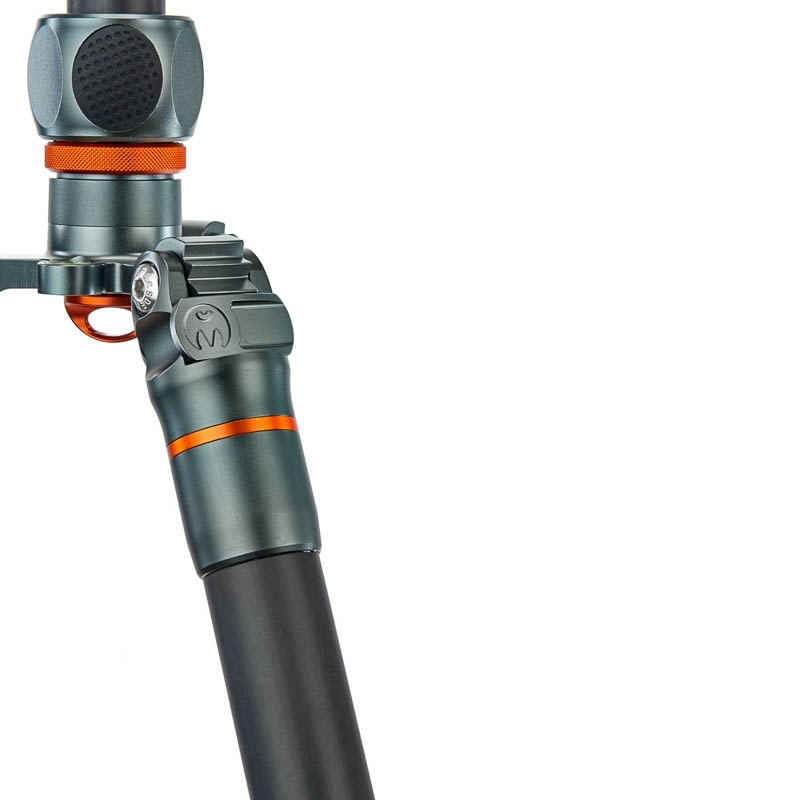 3 Legged Thing Pro 2.0 Albert Grau - professionelles Carbon-Reisestativ mit Kugelkopf AirHed Pro