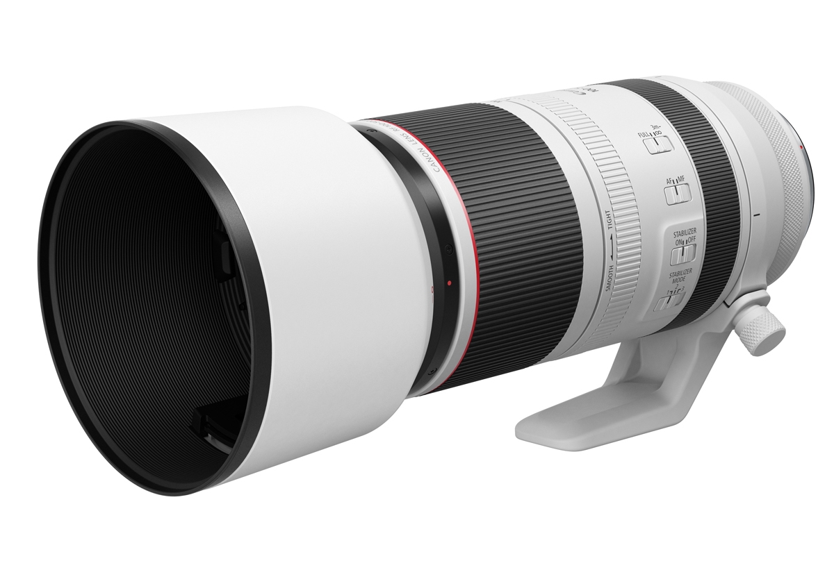 Canon RF 200-800mm f/6.3-9.0 IS USM