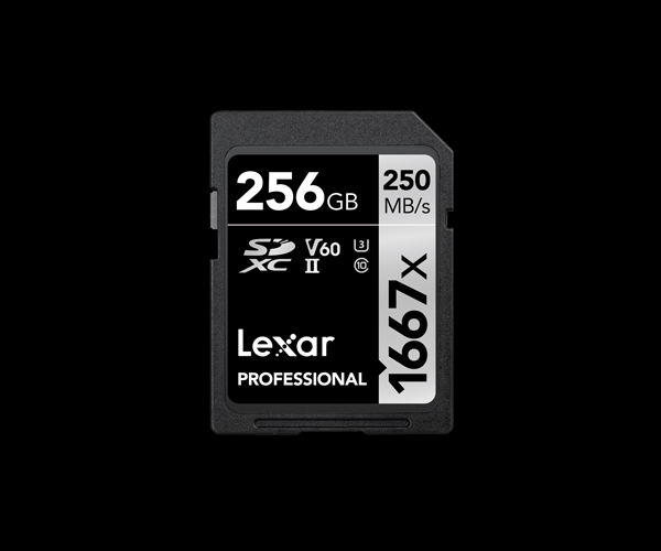 Lexar SDXC Card 256GB Professional 1667x UHS-II V60 U3