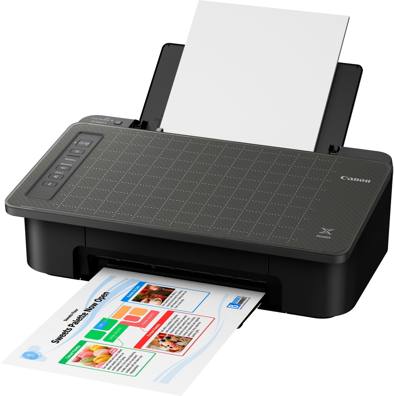 Canon PIXMA TS305